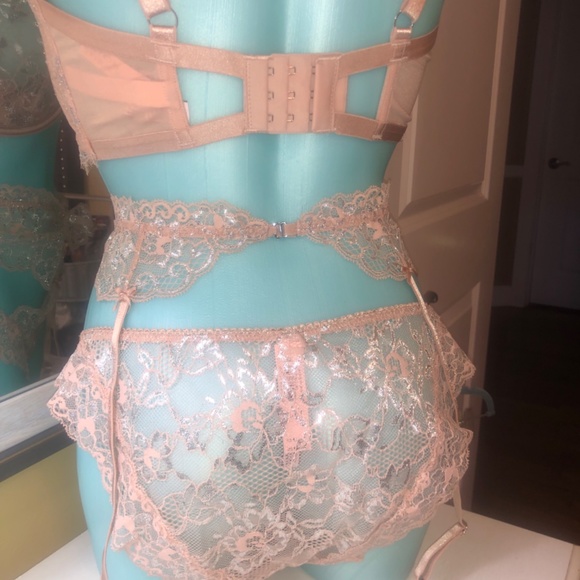 Victoria’s Secret Allure Shine Evening Blush Bra /Garter/Cheekini Set NWT 38DDD - Picture 13 of 14